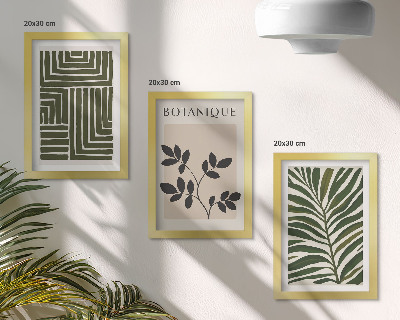 Composizione di 3 quadri Composizioni botaniche in stile minimalismo bohémien