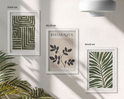 Composizione di 3 quadri Composizioni botaniche in stile minimalismo bohémien