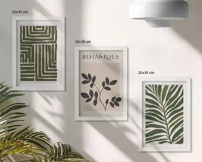 Composizione di 3 quadri con composizioni botaniche in stile minimalismo bohémien