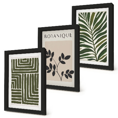 Composizione di 3 quadri Composizioni botaniche in stile minimalismo bohémien
