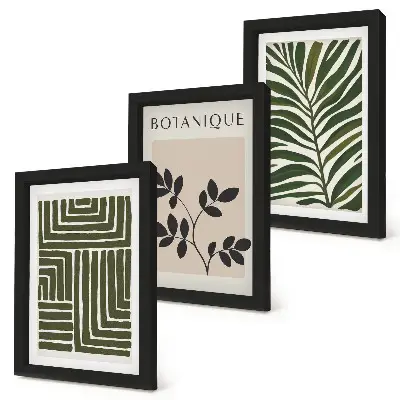 Composizione di 3 quadri con composizioni botaniche in stile minimalismo bohémien