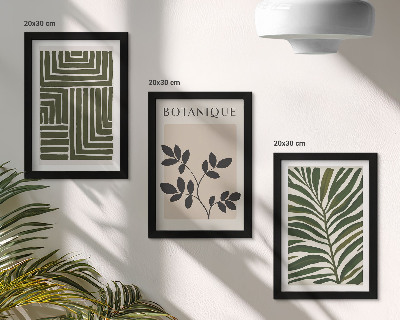Composizione di 3 quadri Composizioni botaniche in stile minimalismo bohémien