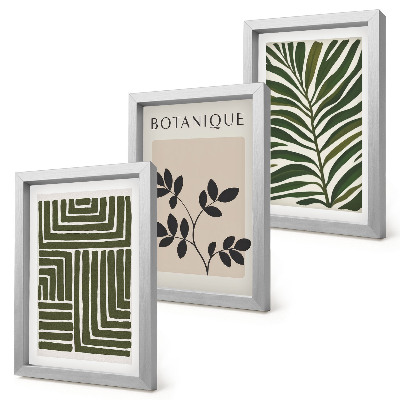 Composizione di 3 quadri Composizioni botaniche in stile minimalismo bohémien