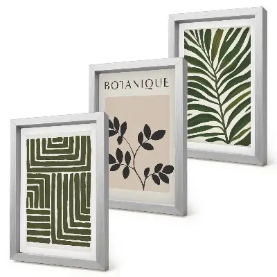 Composizione di 3 quadri con composizioni botaniche in stile minimalismo bohémien