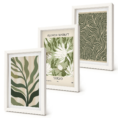 Composizione di 3 quadri Motivi vegetali, decorazioni botaniche, stile boho