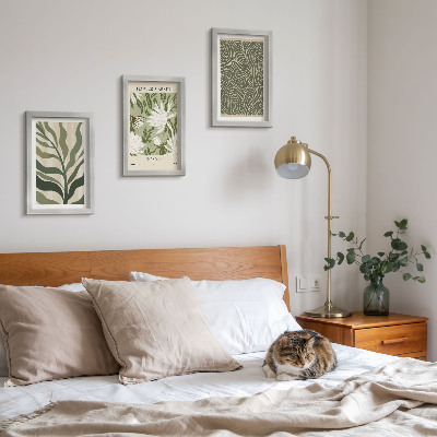 Composizione di 3 quadri Motivi vegetali, decorazioni botaniche, stile boho