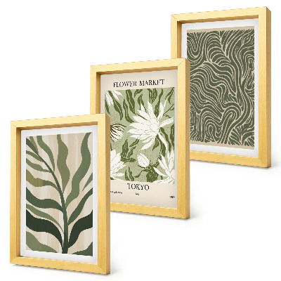 Composizione di 3 quadri Motivi vegetali, decorazioni botaniche, stile boho