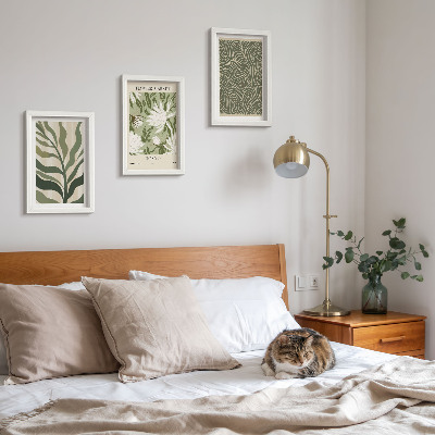 Composizione di 3 quadri Motivi vegetali, decorazioni botaniche, stile boho