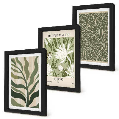 Composizione di 3 quadri Motivi vegetali, decorazioni botaniche, stile boho