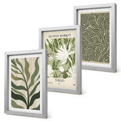 Composizione di 3 quadri Motivi vegetali, decorazioni botaniche, stile boho