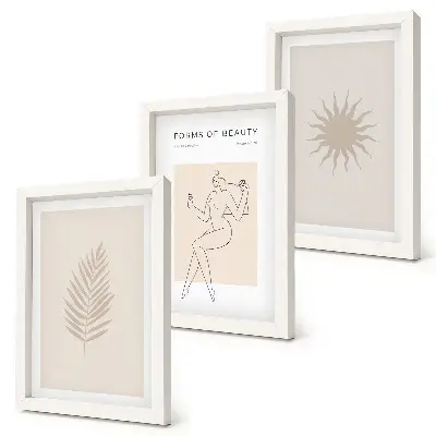 Composizione di 3 quadri con forme minimaliste e naturali