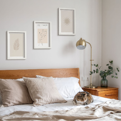 Composizione di 3 quadri Una collezione di forme minimaliste e forme naturali