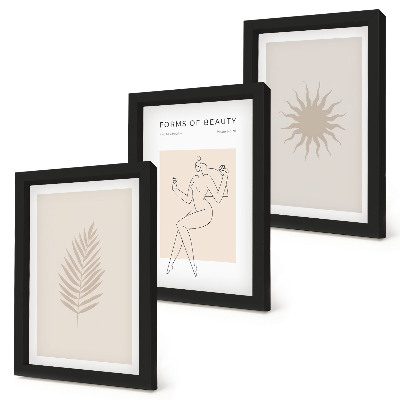 Composizione di 3 quadri Una collezione di forme minimaliste e forme naturali