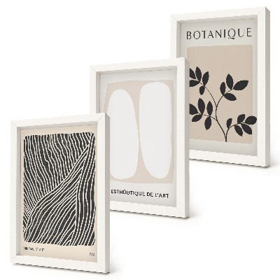 Composizione di 3 quadri Motivi floreali e linee minimaliste in colori neutri