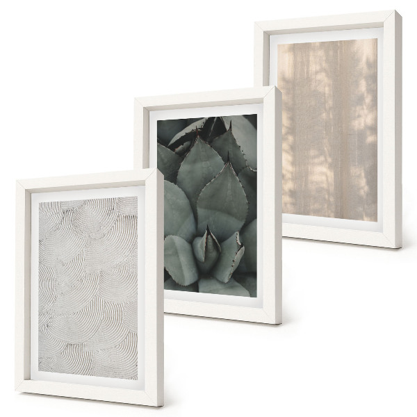 Trittico incorniciato Riprese ravvicinate di texture estive in un clima tropicale.