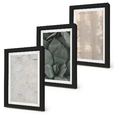 Trittico incorniciato con riprese ravvicinate di texture estive in clima tropicale