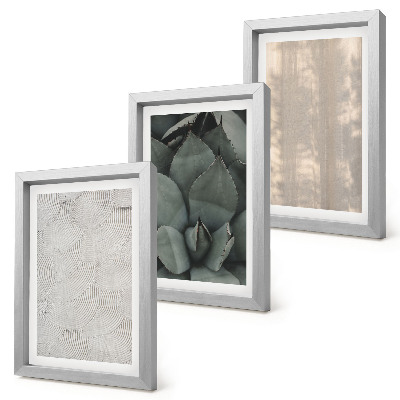 Trittico incorniciato Riprese ravvicinate di texture estive in un clima tropicale.