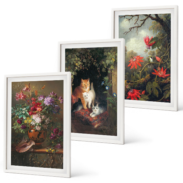 Composizione di quadri Fiori vintage, gatti, natura