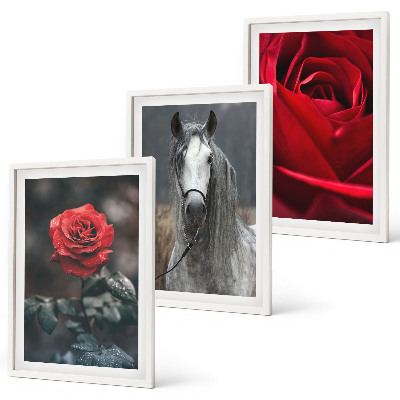 Composizione di quadri Rose rosse cavallo mondo grigio