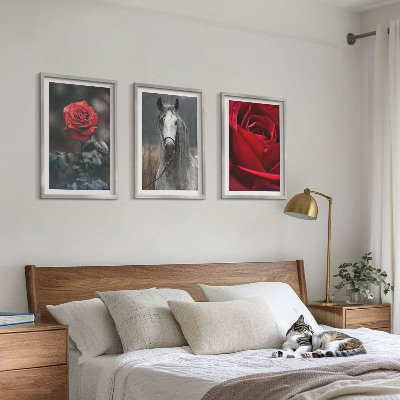 Composizione di quadri Rose rosse cavallo mondo grigio