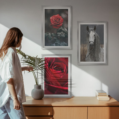 Composizione di quadri Rose rosse cavallo mondo grigio
