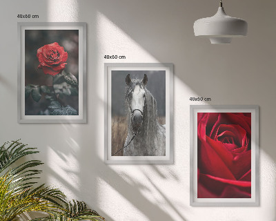Composizione di quadri Rose rosse cavallo mondo grigio
