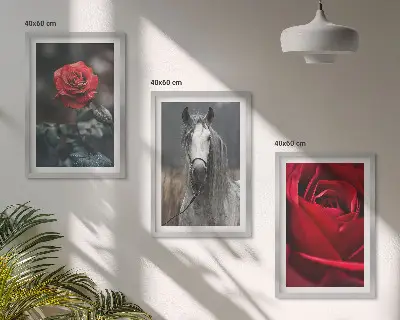Composizione di quadri rose rosse con cavallo su sfondo grigio