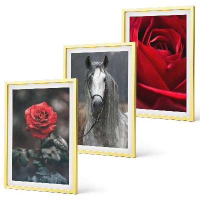 Composizione di quadri Rose rosse cavallo mondo grigio