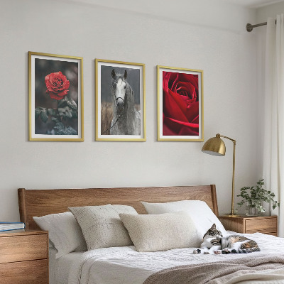 Composizione di quadri Rose rosse cavallo mondo grigio