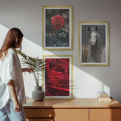Composizione di quadri Rose rosse cavallo mondo grigio