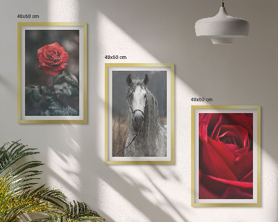 Composizione di quadri Rose rosse cavallo mondo grigio
