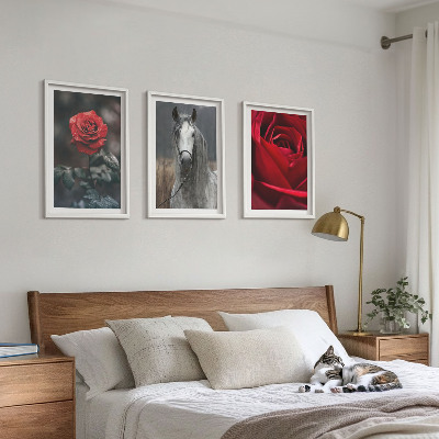 Composizione di quadri Rose rosse cavallo mondo grigio