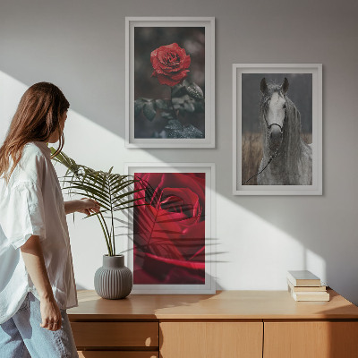 Composizione di quadri Rose rosse cavallo mondo grigio