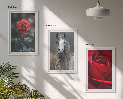 Composizione di quadri Rose rosse cavallo mondo grigio