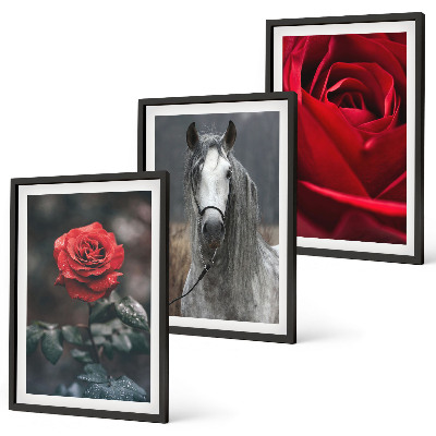 Composizione di quadri Rose rosse cavallo mondo grigio
