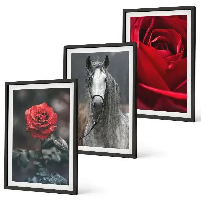 Composizione di quadri rose rosse con cavallo su sfondo grigio