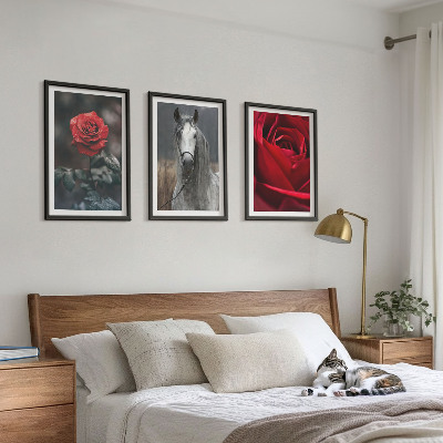 Composizione di quadri Rose rosse cavallo mondo grigio