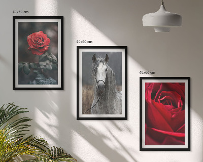 Composizione di quadri Rose rosse cavallo mondo grigio