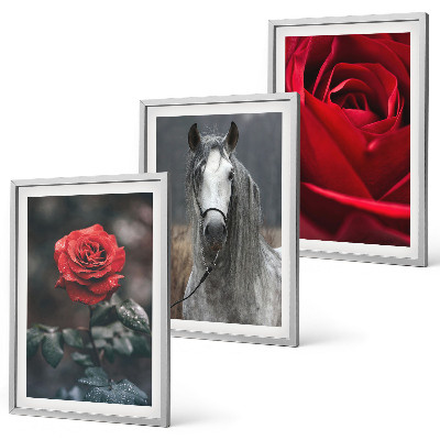Composizione di quadri Rose rosse cavallo mondo grigio