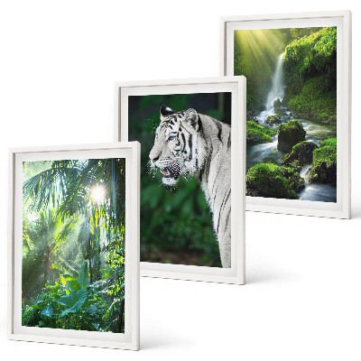Composizione di quadri Cascata della tigre della giungla