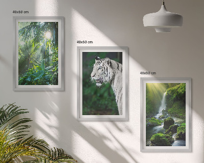 Composizione di quadri Cascata della tigre della giungla