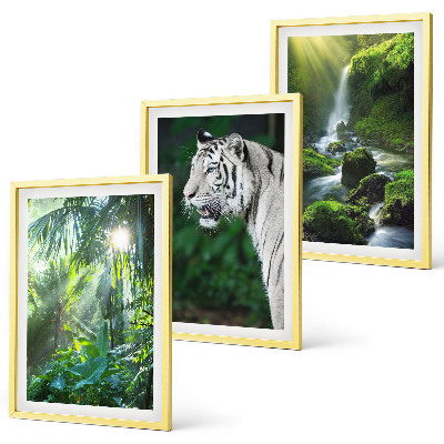 Composizione di quadri Cascata della tigre della giungla