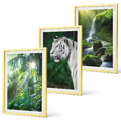 Composizione di quadri rappresentante una cascata nella giungla con tigre