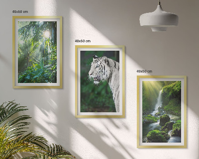 Composizione di quadri Cascata della tigre della giungla