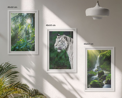 Composizione di quadri Cascata della tigre della giungla