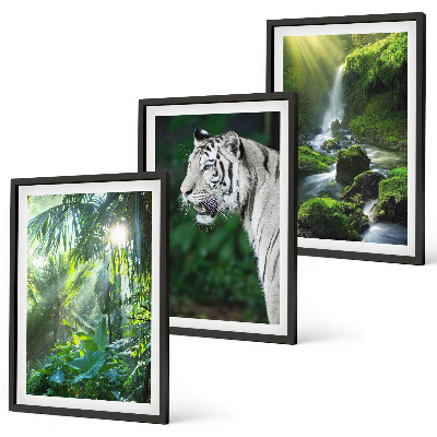 Composizione di quadri Cascata della tigre della giungla