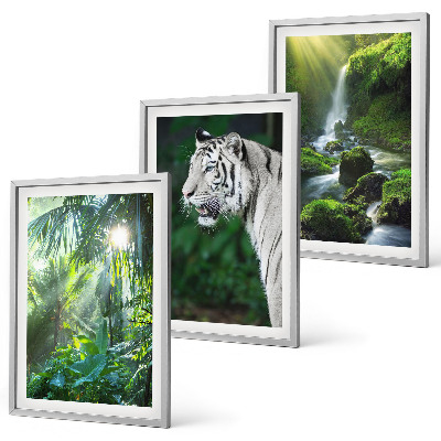 Composizione di quadri Cascata della tigre della giungla