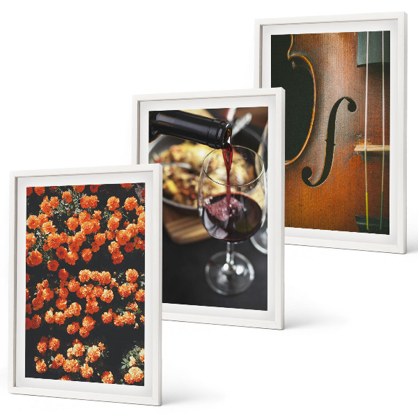 Set di quadri incorniciati Fiori vintage, vino, violino