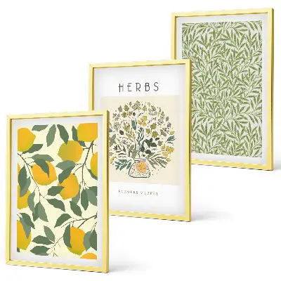 Set di quadri incorniciati con limoni, erbe aromatiche e foglie
