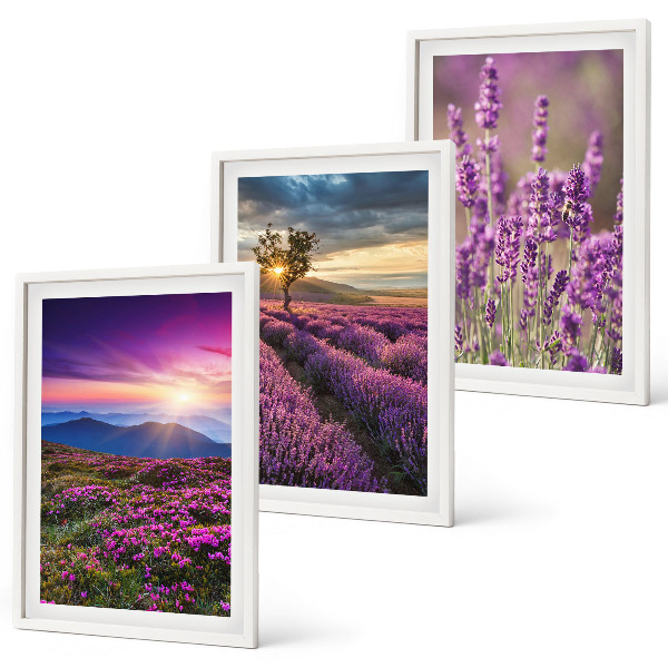 Set di 3 quadri Tramonto sui campi di lavanda